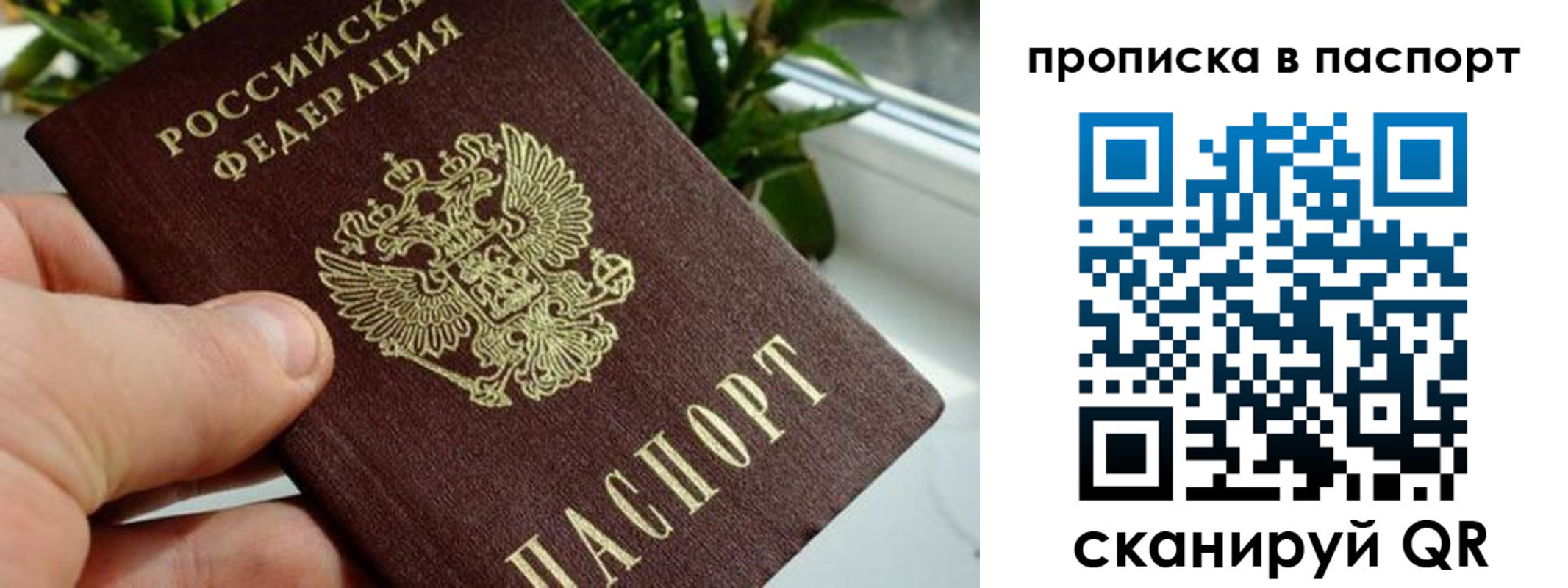 временная регистрация поиск в Купино